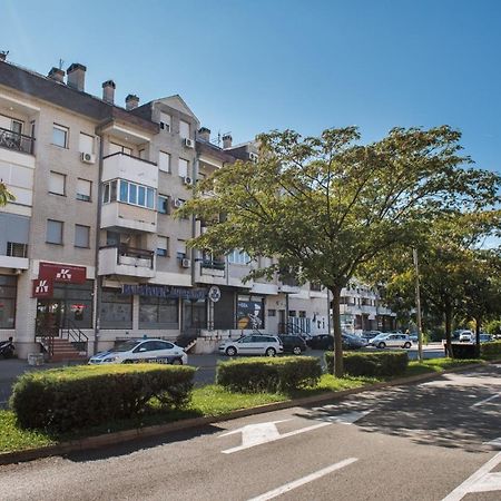 Apartman Vukcevic Podgoriţa Exterior foto